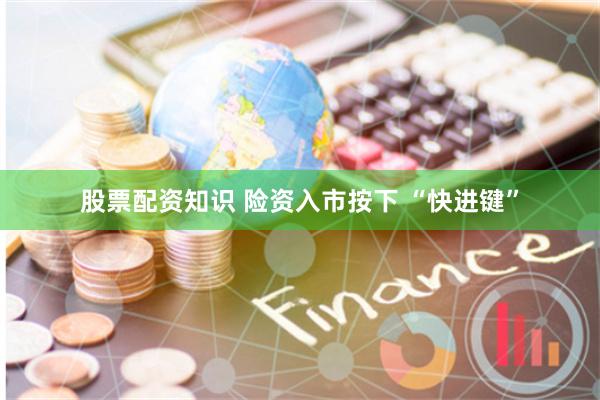 股票配资知识 险资入市按下 “快进键”