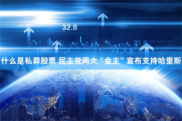 什么是私募股票 民主党两大“金主”宣布支持哈里斯