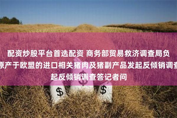 配资炒股平台首选配资 商务部贸易救济调查局负责人就对原产于欧盟的进口相关猪肉及猪副产品发起反倾销调查答记者问