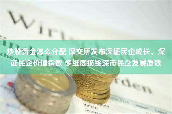 炒股资金怎么分配 深交所发布深证民企成长、深证民企价值指数 多维度描绘深市民企发展质效