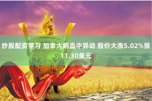 炒股配资学习 加拿大鹅盘中异动 股价大涨5.02%报11.30美元