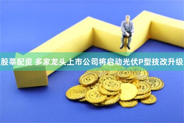 股莘配资 多家龙头上市公司将启动光伏P型技改升级