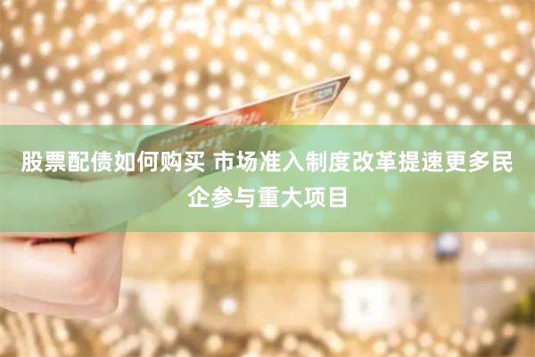 股票配债如何购买 市场准入制度改革提速更多民企参与重大项目