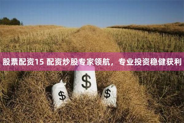 股票配资15 配资炒股专家领航，专业投资稳健获利